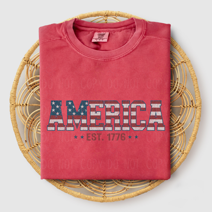 COMPLETED - Distressed America 1776